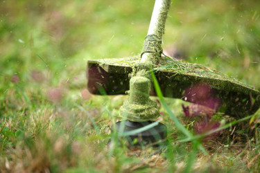 Similar image 20984108