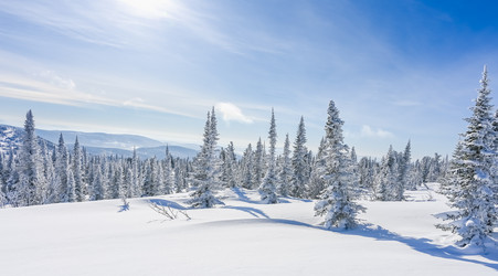 Similar image 20972885