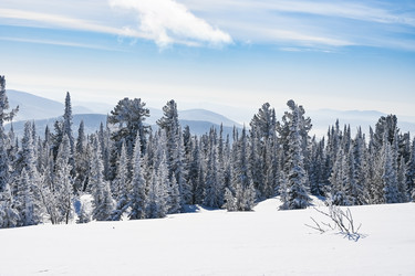 Similar image 20972887