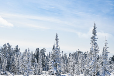 Similar image 20972888