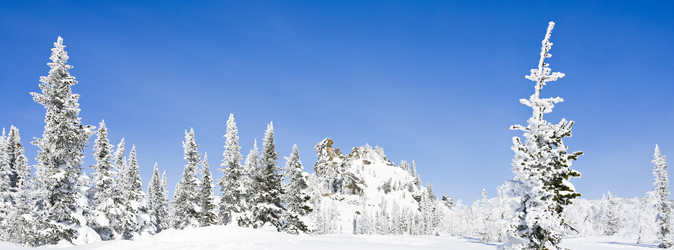 Similar image 20972890