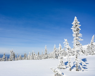 Similar image 20972895