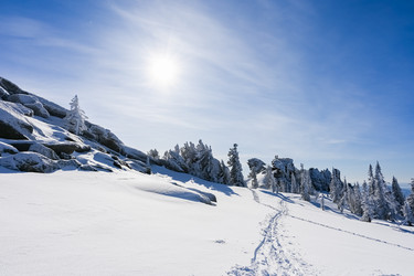 Similar image 20972896