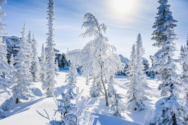 Similar image 20972901