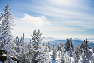 Similar image 20972918