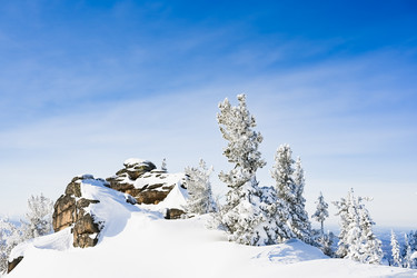 Similar image 20972919