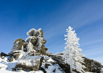 Similar image 20972921