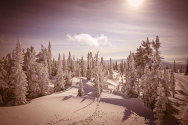 Similar image 20972922