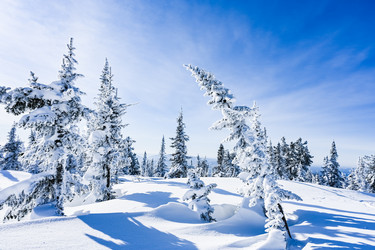 Similar image 20972927