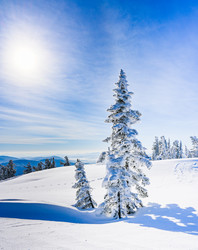 Similar image 20972930