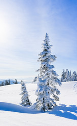 Similar image 20972931