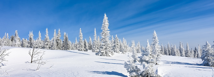 Similar image 20972932