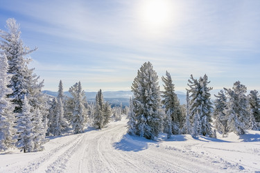 Similar image 20972934