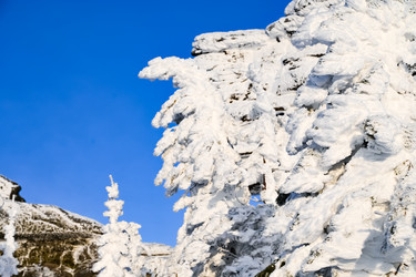 Similar image 20972936