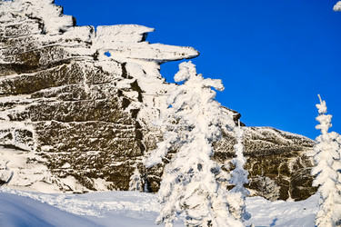 Similar image 20972938