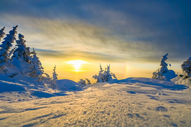 Similar image 20973026