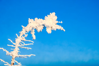 Similar image 20973029