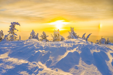 Similar image 20973030