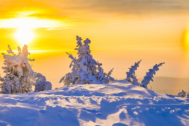 Similar image 20973032