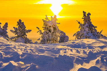 Similar image 20973033