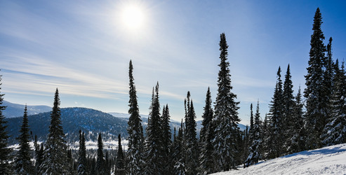 Similar image 20973038