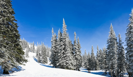 Similar image 20973039