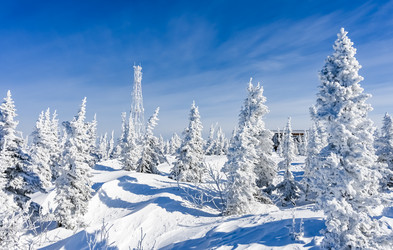 Similar image 20973042