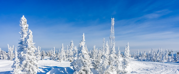 Similar image 20973043