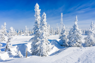 Similar image 20973044