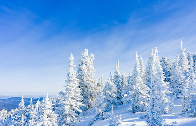 Similar image 20973047