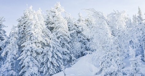 Similar image 21001292