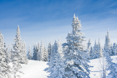 Similar image 21001293