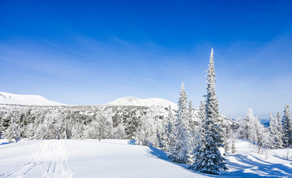 Similar image 21001295