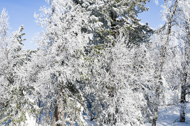 Similar image 21001429