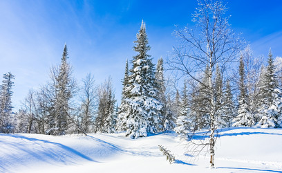 Similar image 21001758