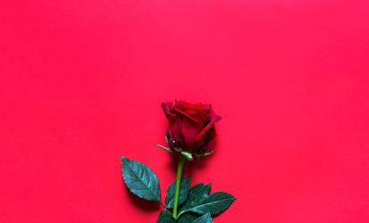 Similar image 20982538