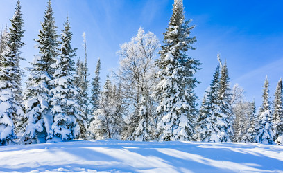 Similar image 20973048