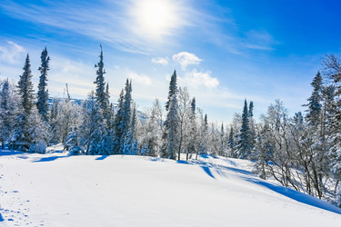 Similar image 20973049