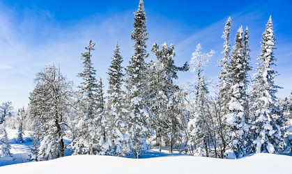 Similar image 20973050