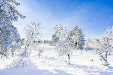 Similar image 20973051