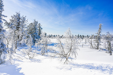 Similar image 20973052