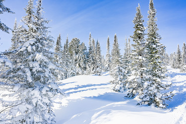 Similar image 20973053