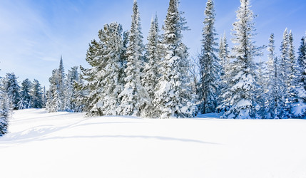 Similar image 20973054