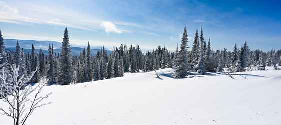 Similar image 20973056