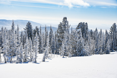 Similar image 20973057