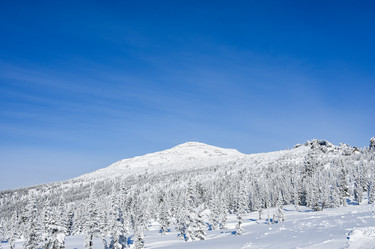 Similar image 20973061