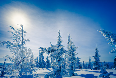 Similar image 21001299