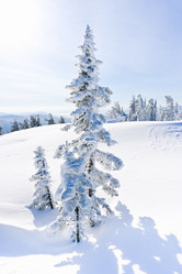 Similar image 21001759