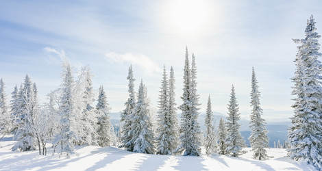 Similar image 21001778