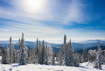 Similar image 21003598